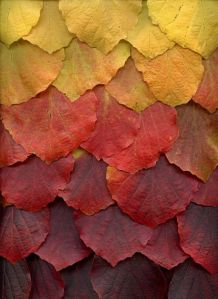 original_281560c8a7e6feb64f677254a25f57d4