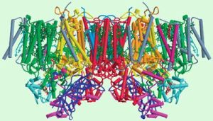 original_4e46b6192c80920fccd2b2fa49d8eae6