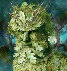 original_60e7fd25afdc5dd5b8730d4b8e41936a