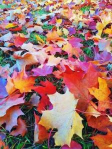 original_6a2e39fbee16ae0d33ac1ae54295ee6a