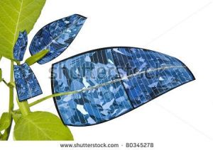 original_7795f202cc27d6fad54832f5535c9fa0