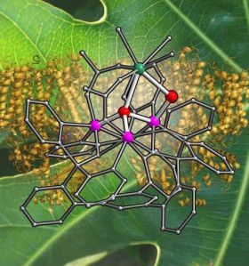 original_8c83b8466ab4347f2ffafdbd4489306c