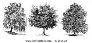 original_9c626e63df8c54b6feb3d7e501525aba