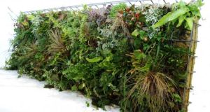 original_b1f783d814c79156295ccbb1bbda9e2e