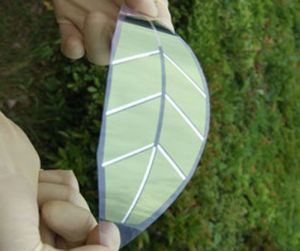 original_cfea32509e207aea1023a79cdddd866c