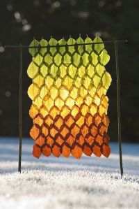 original_d7ee500082d4aaf22f3a37b918da129c