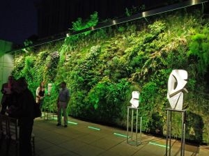 original_e327be0162bbe95577103beb14c3b0e6