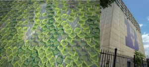 original_fbefe04f2e852af5eafd1dccc6932725