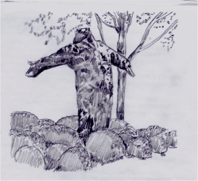 1394252_284868518363218_8490436764321569924_n